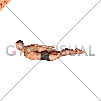 https://gymvisual.com/6499-thickbox_default/locust-yoga-pose-iron-man-pose.jpg