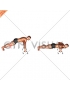 Push-up (With push-up handles)