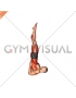 Shoulder Stand Yoga Pose