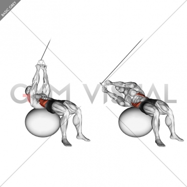 Cable Russian Twists (on stability ball)