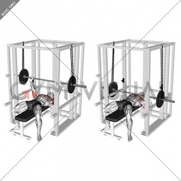 Barbell Reverse Band Bench Press