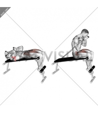 Band Decline Sit-up