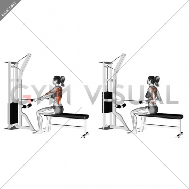 Cable Seated Supine-grip Row