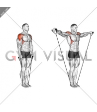 Band Lateral Raise (Version 2)