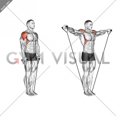 Band Lateral Raise (Version 2)