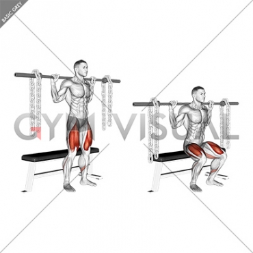 Barbell Bench Squat (With chains)