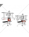 Barbell Bench Squat (With chains)