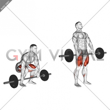 Barbell Clean Deadlift