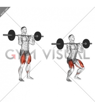 Barbell Jerk Dip Squat