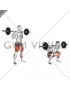 Barbell Olympic Squat