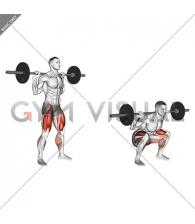 Barbell Olympic Squat