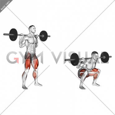 Barbell Olympic Squat