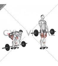 Barbell Romanian Deadlift From Deficit