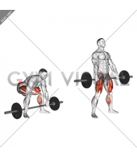 Barbell Snatch Deadlift