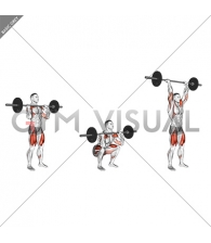 Barbell Squat to Shoulder Press