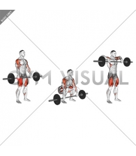 Barbell Squat to Upright Row