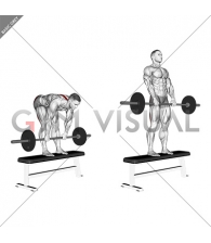 Barbell Stiff Leg Deadlift on Bench