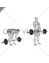 Barbell Stiff Legged Deadlift