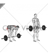 Barbell Stiff Legged Deadlift