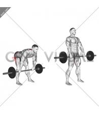 Barbell Wide Stance Stiff Leg Deadlift