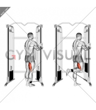 Cable Standing Leg Curl