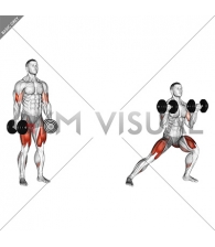 Dumbbell Lateral Lunge with Bicep Curl
