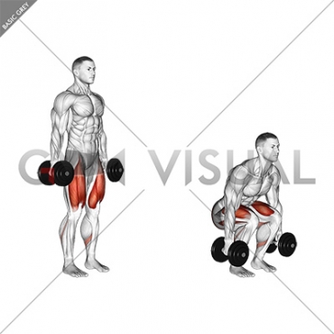 Dumbbell Squat