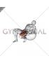 Exercise Ball Seated Quad Stretch