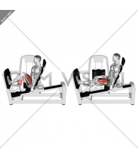 Lever Seated One Leg Wide Squat