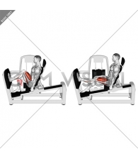 Lever Seated One Leg Squat