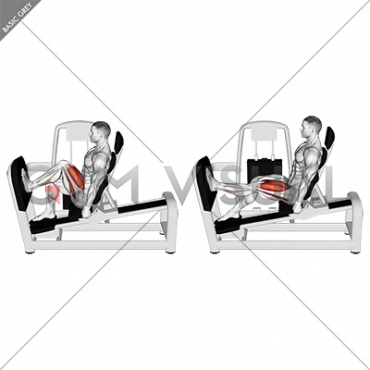 Lever Seated One Leg Squat