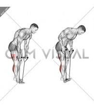 Standing Hamstring and Calf Stretch with Strap