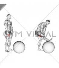 Standing Straight Leg Hamstring Contract Relax on Exercise Ball
