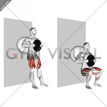 Weighted Exercise Ball Wall Squat