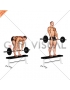 Barbell Stiff Leg Deadlift on Bench