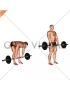 Barbell Stiff Legged Deadlift