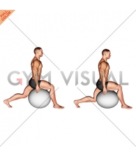 Exercise Ball Hip Flexor Stretch