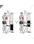 Cable Triceps Pushdown (SZ-bar)