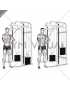 Cable One Arm Side Triceps Pushdown