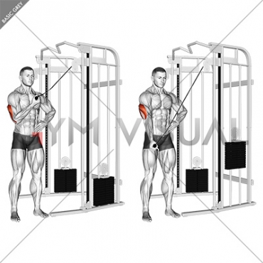 Cable One Arm Side Triceps Pushdown