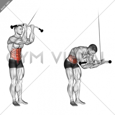 Cable Standing Crunch