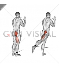 Cable standing hip extension (version 2)