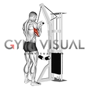 cable reverse tricep extension