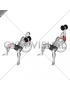 Dumbbell Incline One Arm Hammer Press on Exercise Ball