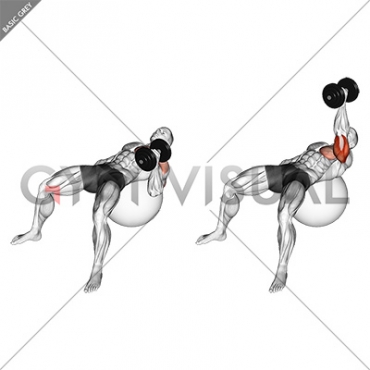 Dumbbell One Arm Hammer Press on Exercise Ball