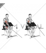 Cable One Arm Preacher Curl