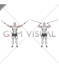 Cable Overhead Curl