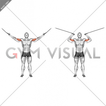 Cable Overhead Curl