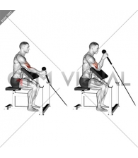 Cable Rope One Arm Hammer Preacher Curl