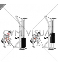 Cable Squatting Curl